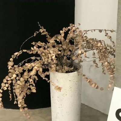 Furry插画风格探索兽圈群